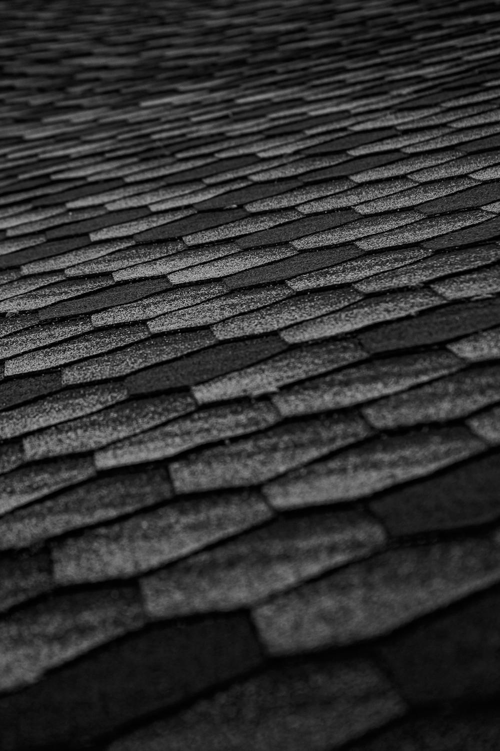 After Shingle Guard Roof Rejuvenation on Asphalt Shingles