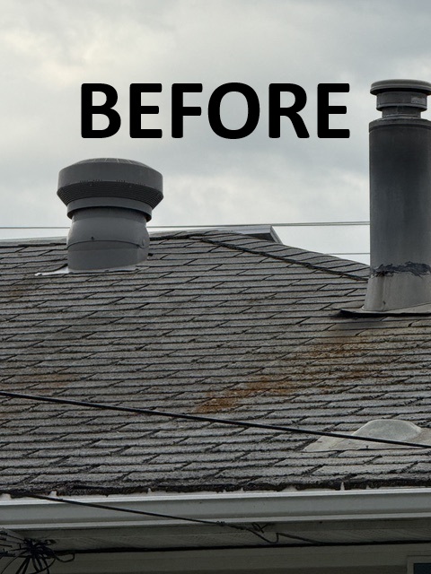 Shingle Guard Before Roof rejuvenation, as a part of your roof maintenance